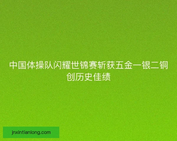 中国体操队闪耀世锦赛斩获五金一银二铜创历史佳绩 中国体操队闪耀世锦赛斩获五金一银二铜创历史佳绩